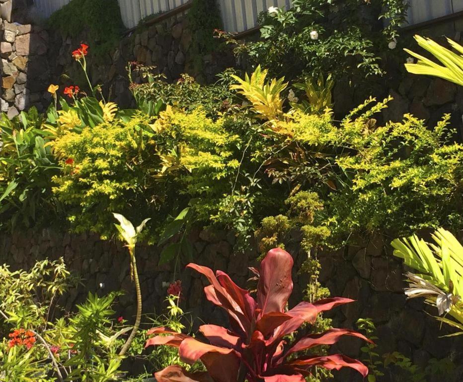 Victoria Palms Hotel Suva Dış mekan fotoğraf