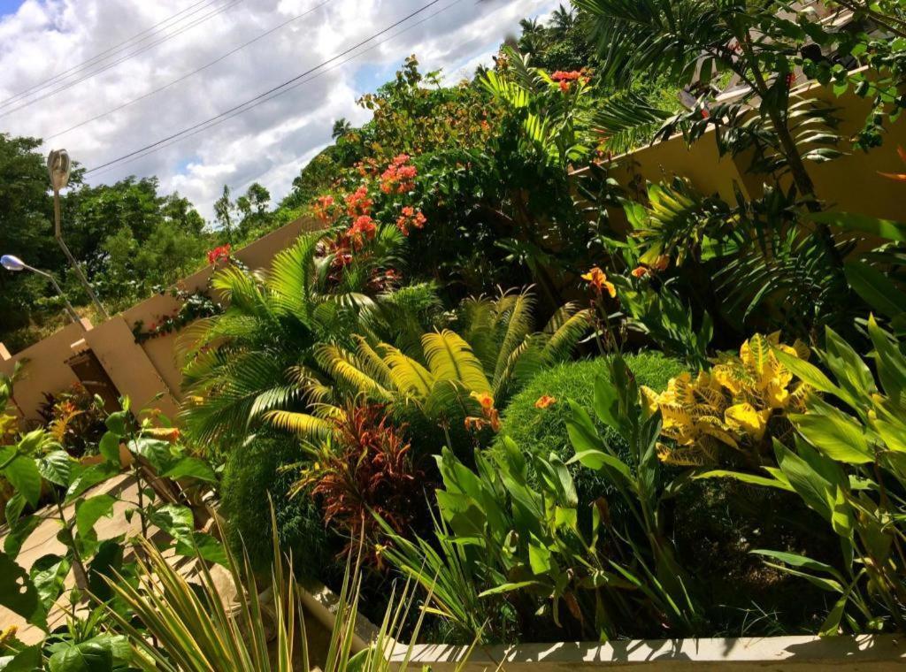 Victoria Palms Hotel Suva Dış mekan fotoğraf